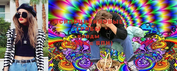 гидра Абдулино