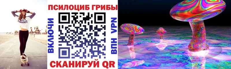 Галлюциногенные грибы Psilocybe  где купить наркоту  mega ссылка  Покачи 